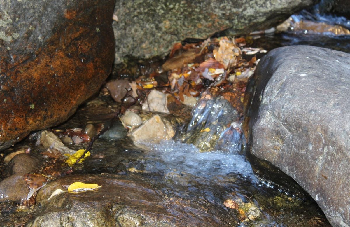 La cascada de Nocedo de Curueño, un espectáculo de fuerza y belleza