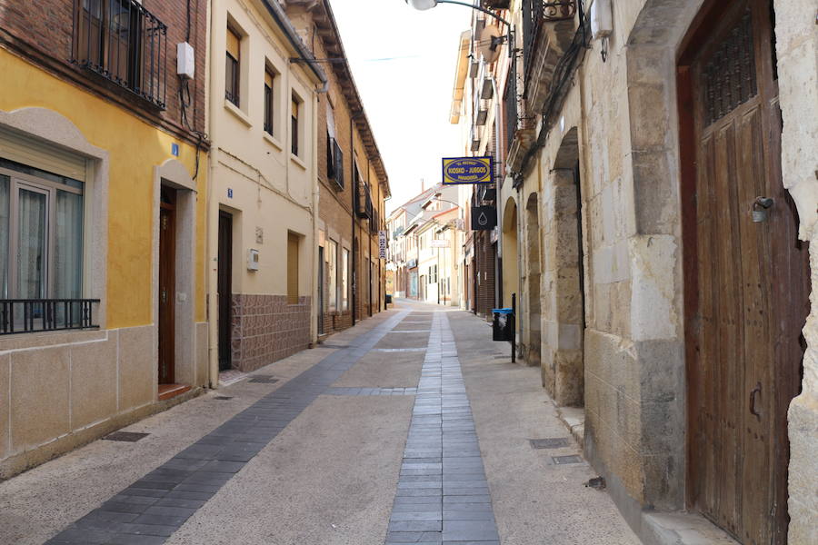 León en el Camino, en imágenes