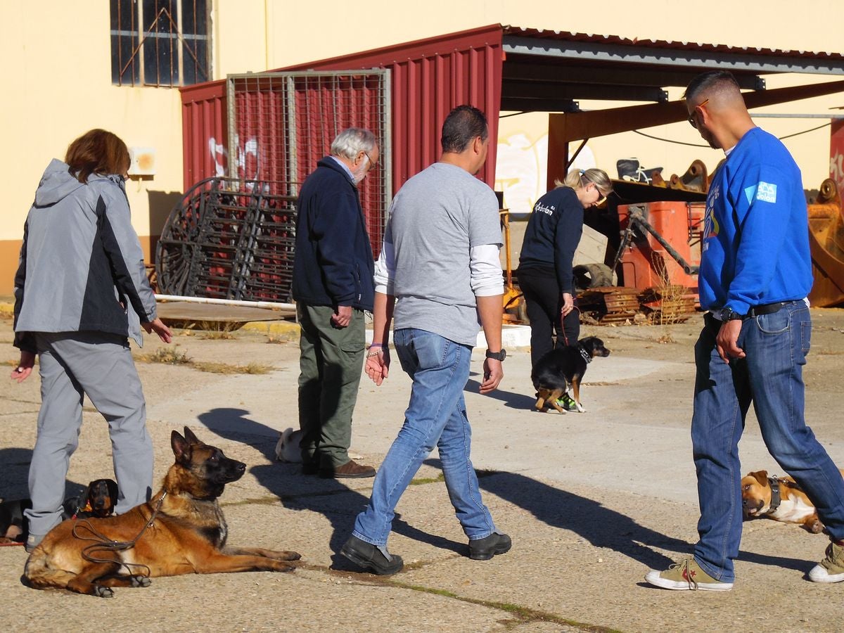 Educando desde el cariño, en Spanish Dog