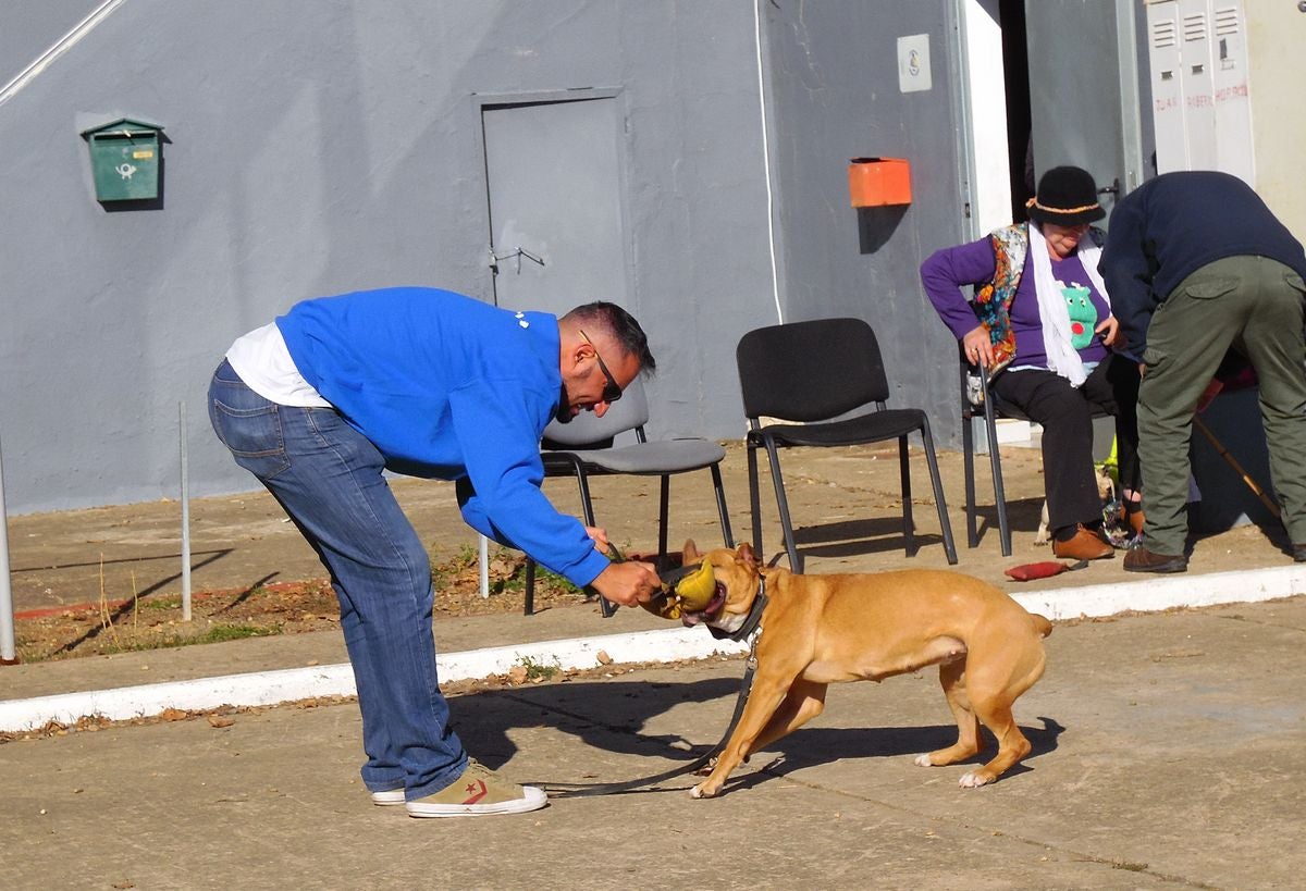 Educando desde el cariño, en Spanish Dog
