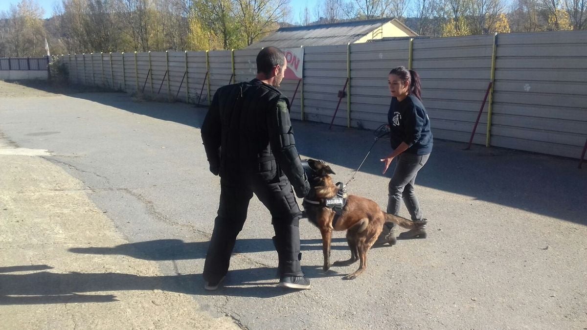 Educando desde el cariño, en Spanish Dog