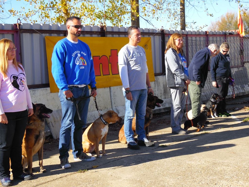 Educando desde el cariño, en Spanish Dog