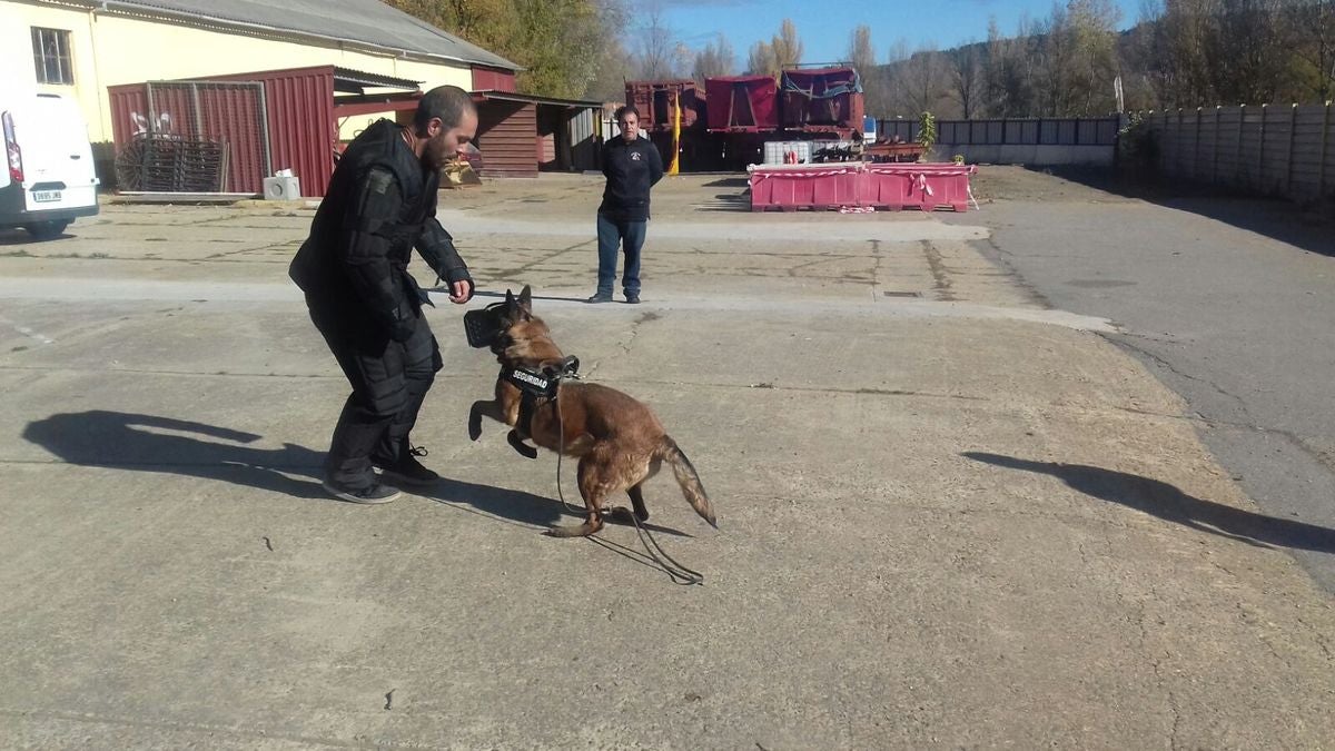 Educando desde el cariño, en Spanish Dog
