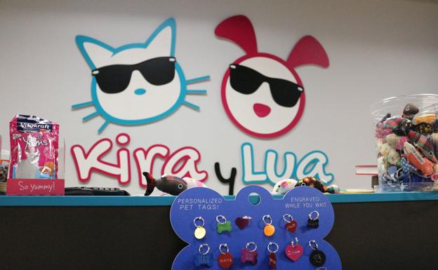 Kira y Lua, mascotas chulas.