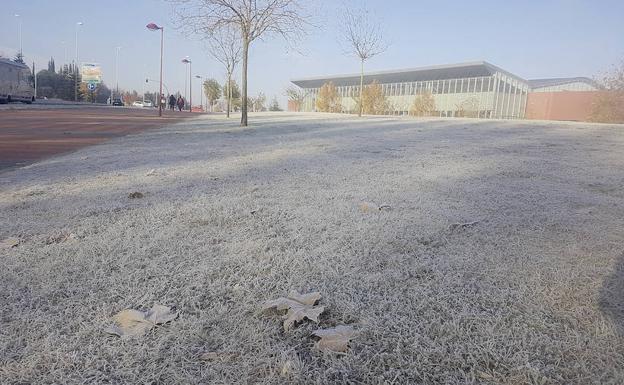 El césped helado a consecuencia de las heladas en Valladolid.