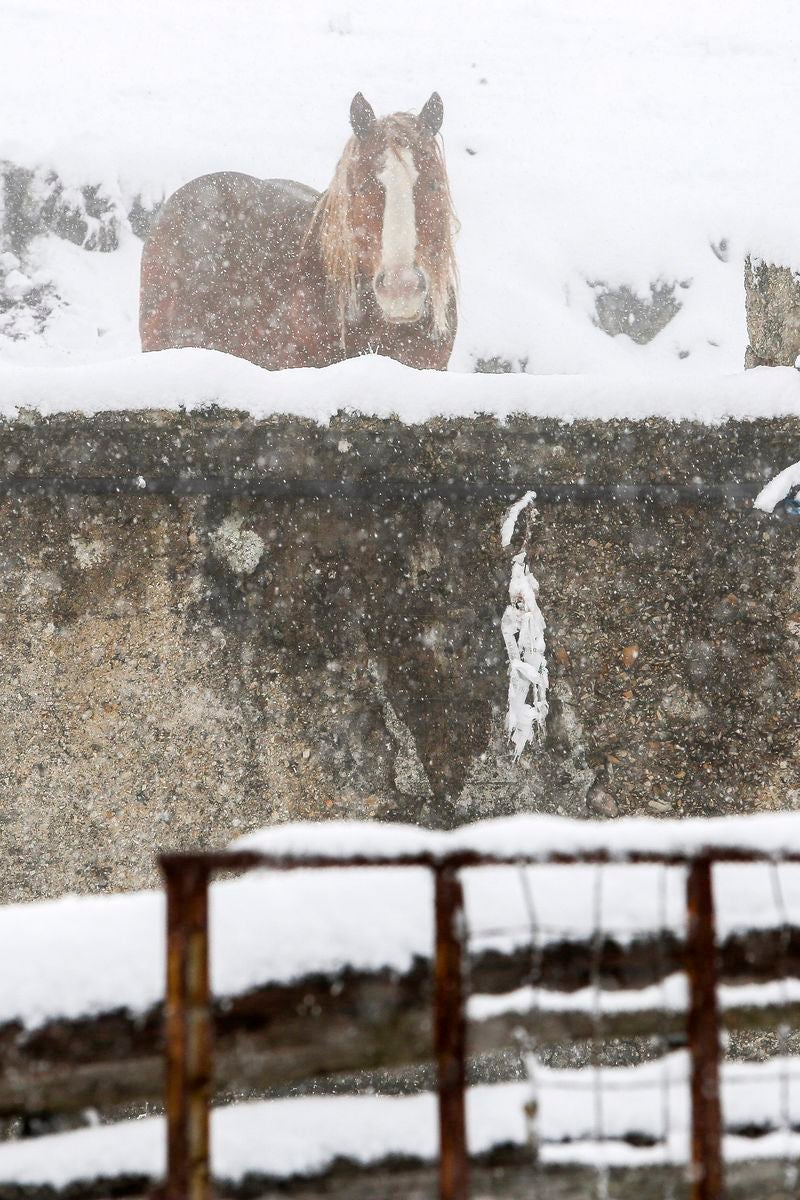 La provincia entra en alerta naranja por nevadas en las próximas 48 horas | La cota de nieve desciende hasta los 700 metros | La zona norte será la más afectada por la adversa climatología