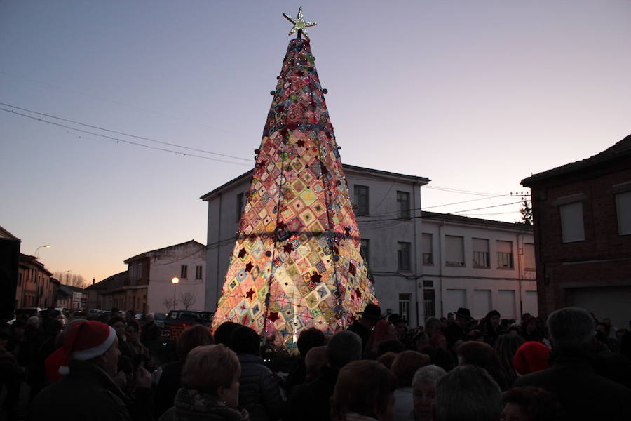 Un árbol de récord en Villoria de Órbigo