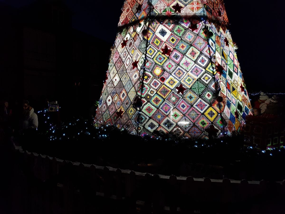 Un árbol de récord en Villoria de Órbigo