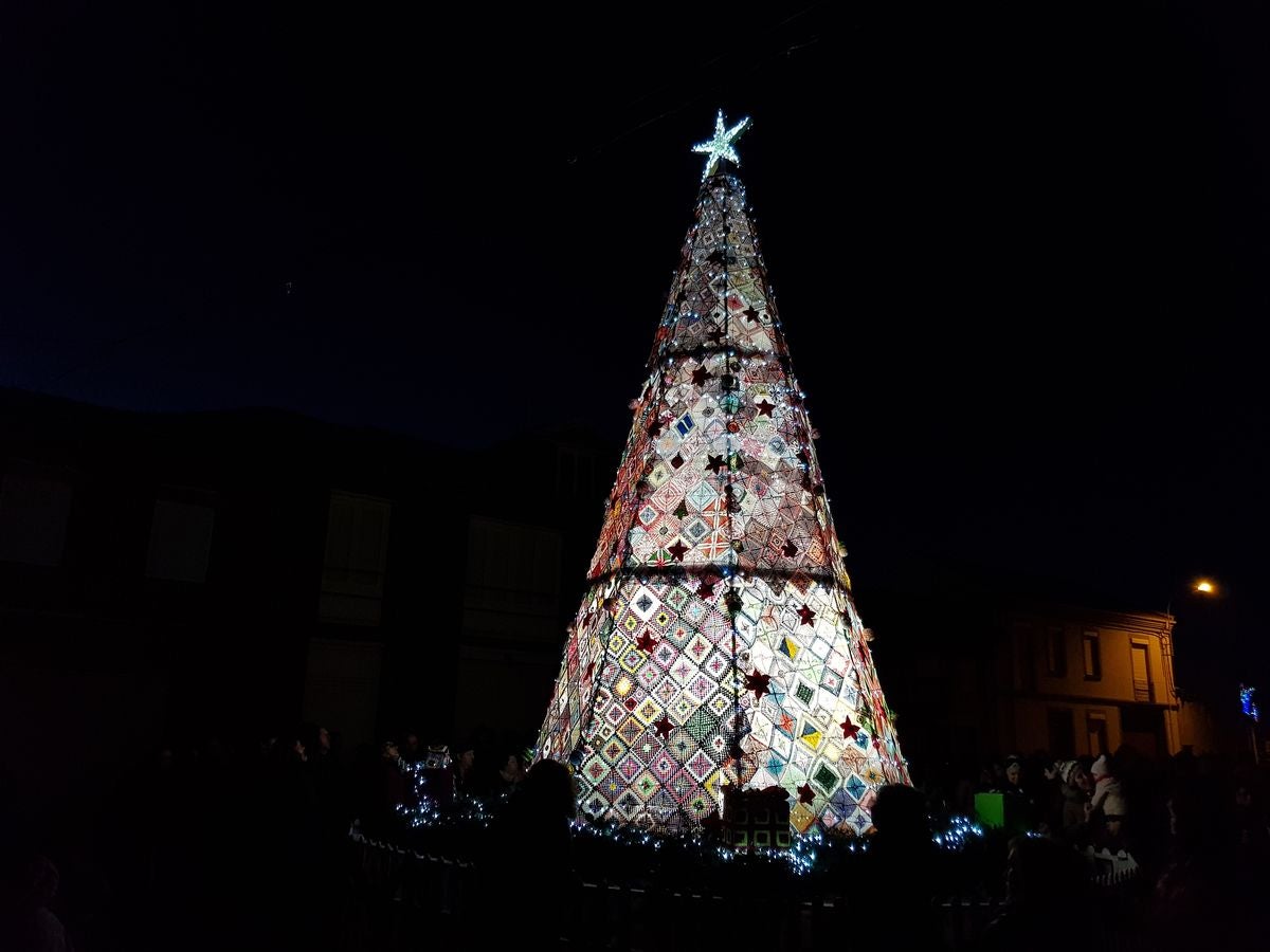Un árbol de récord en Villoria de Órbigo