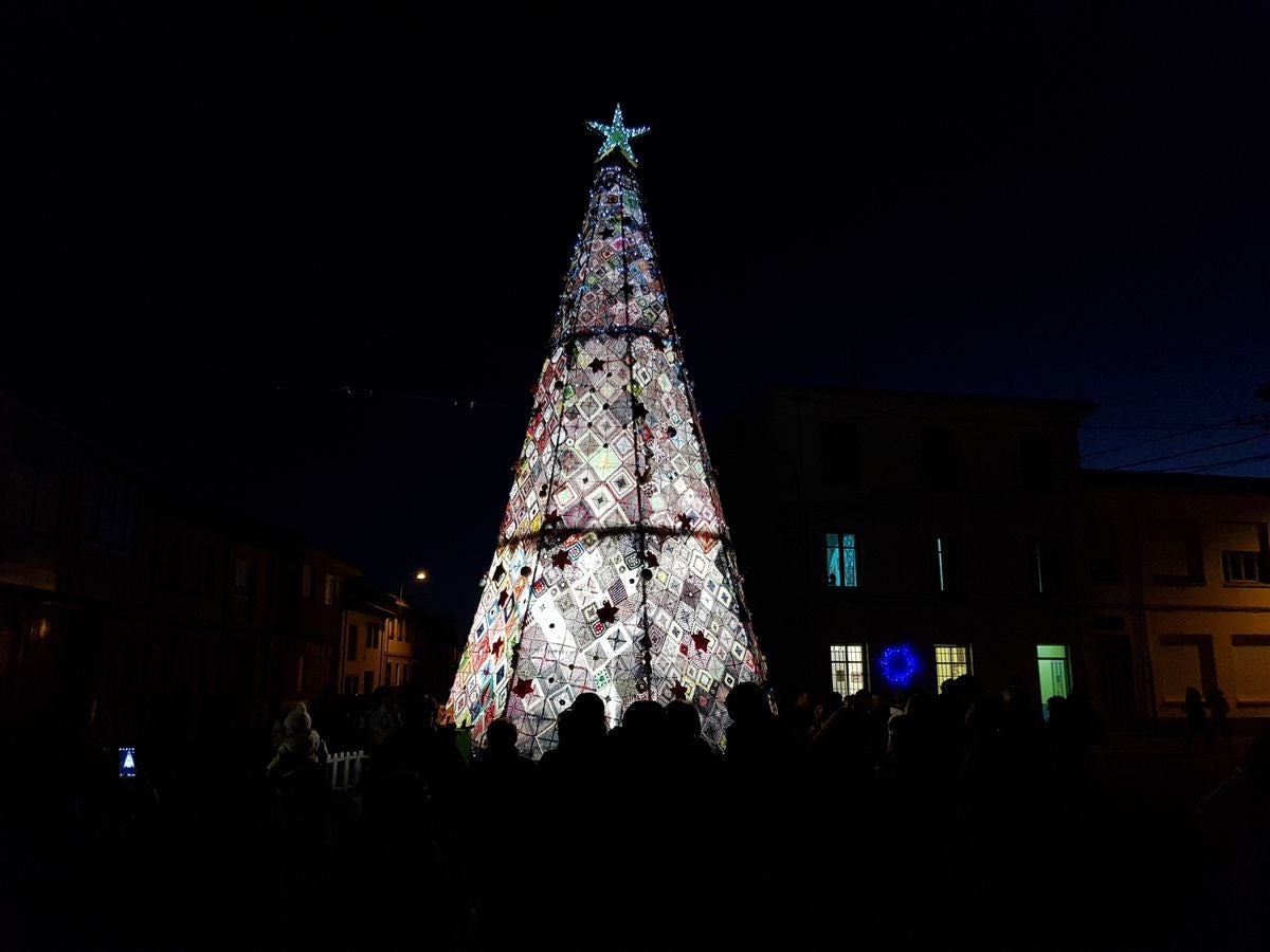 Un árbol de récord en Villoria de Órbigo