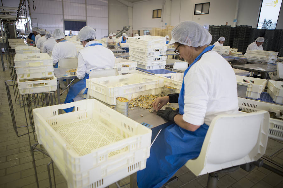 Así se consigue conservar el sabor de las rías gallegas