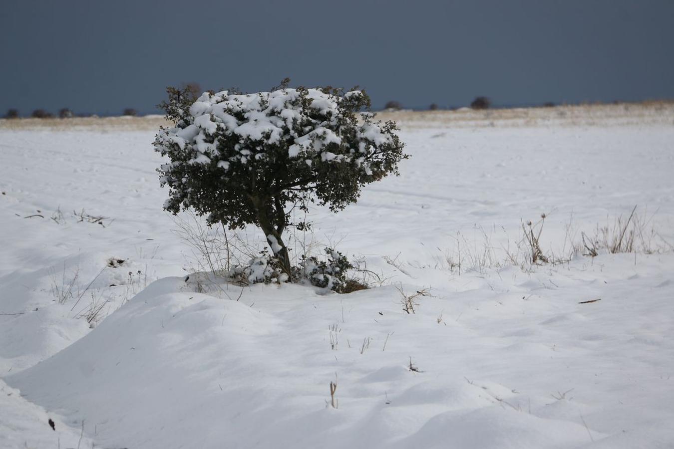 La nieve se hace notar en el alfoz