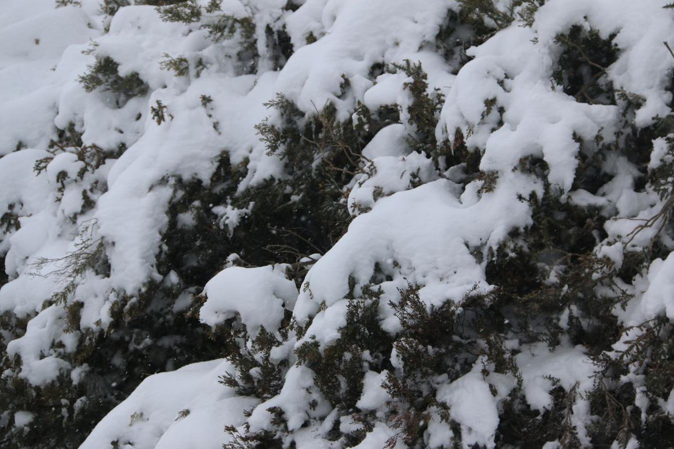 El hielo, la nieve y la ventisca, protagonistas en Pajares