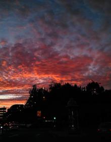 Imagen secundaria 2 - Algunas de las fotos del alumno. 