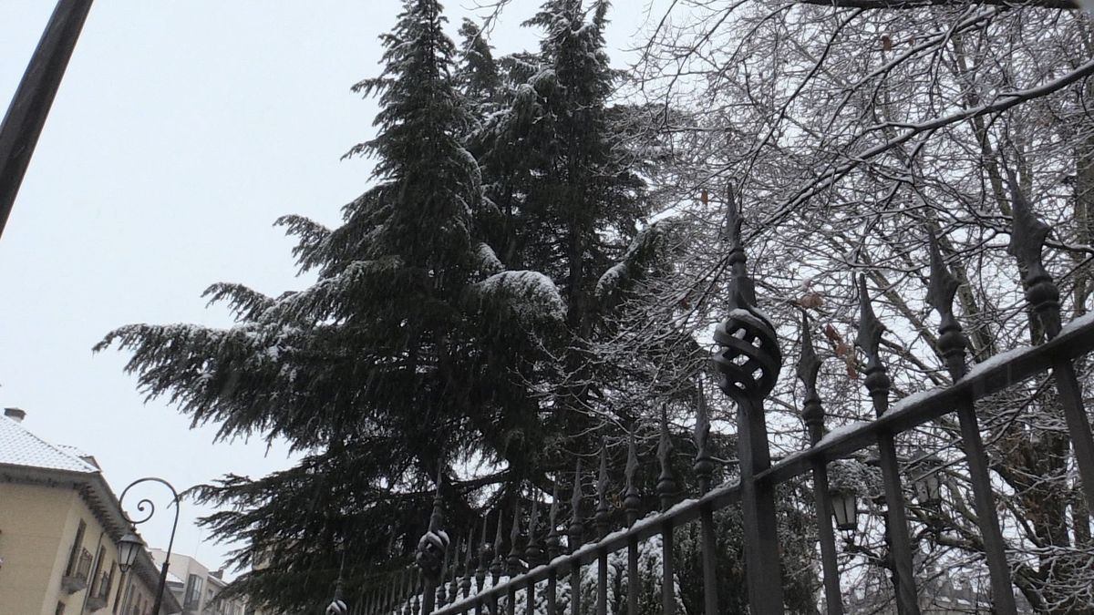 Las imágenes de la nieve en León capital