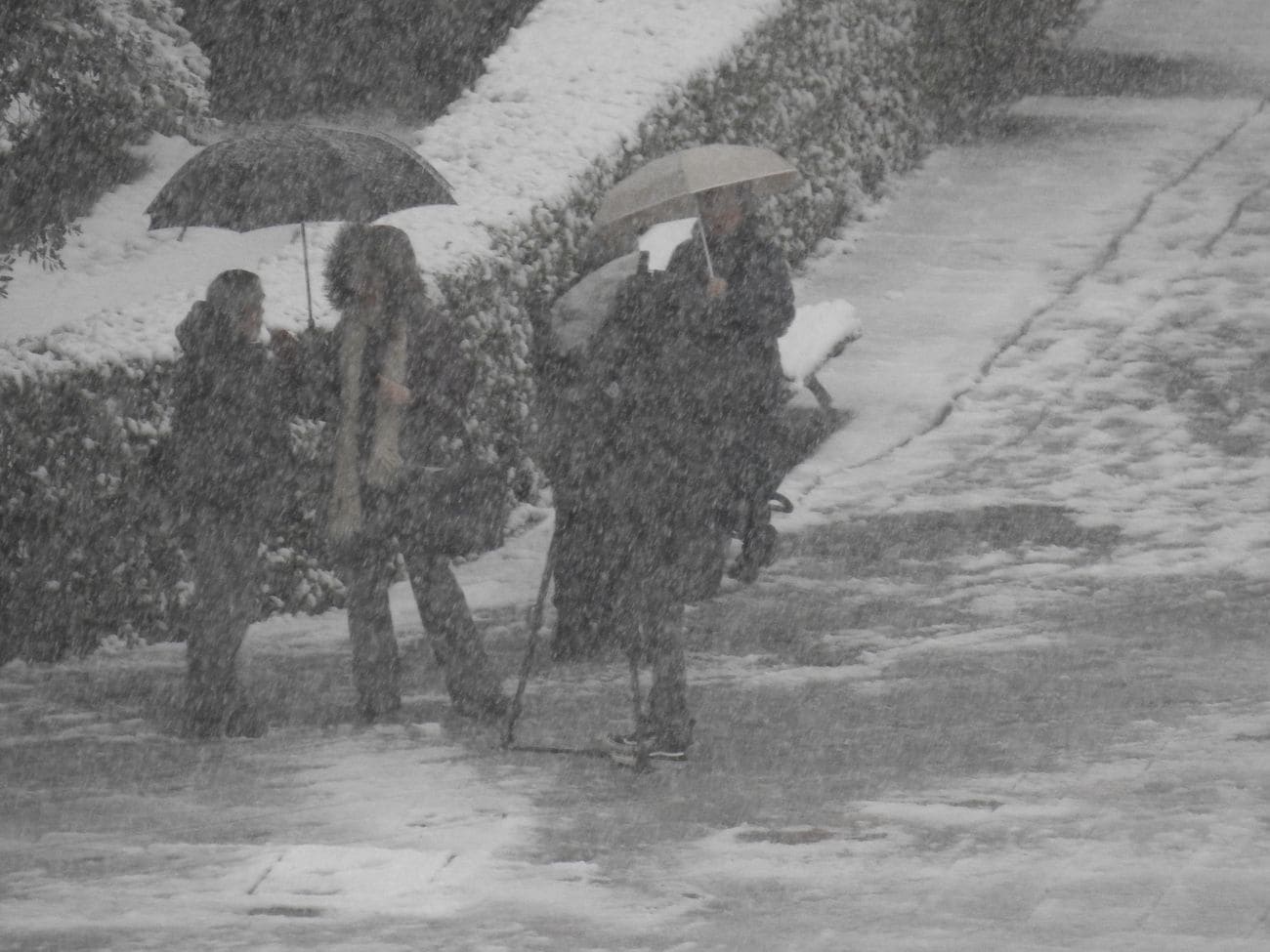 La nieve ha alcanzado este sábado por primera vez en el invierno la capital. Lo ha hecho de forma intensa desde última hora de la madrugada