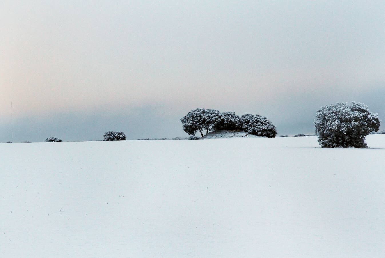 Nieve en los campos de Cevico Navero (Palencia).