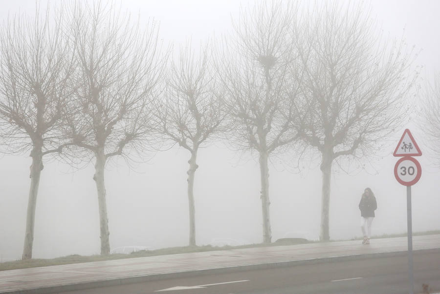 La niebla envuelve León capital