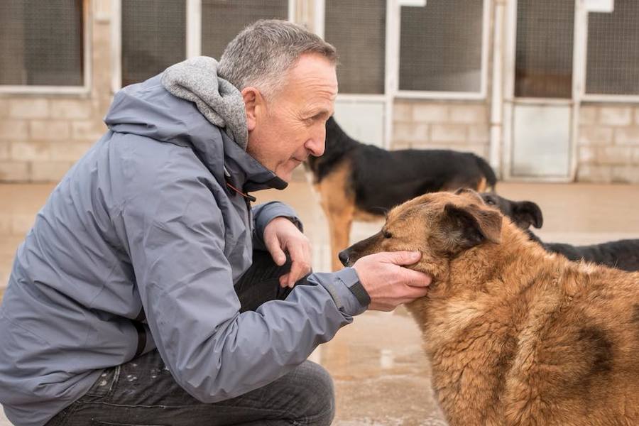 Dani Rovira visita la Protectora de León