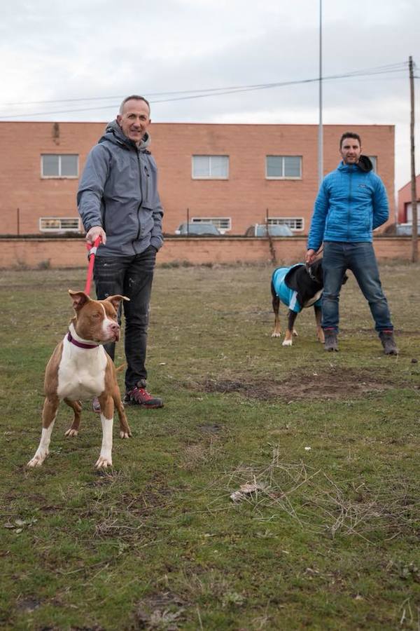 Dani Rovira visita la Protectora de León