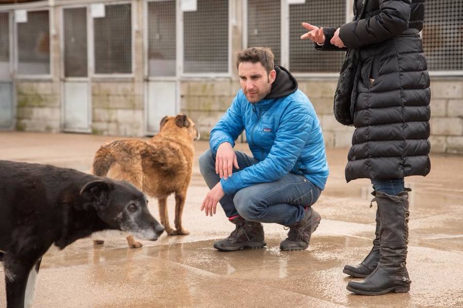 Dani Rovira visita la Protectora de León