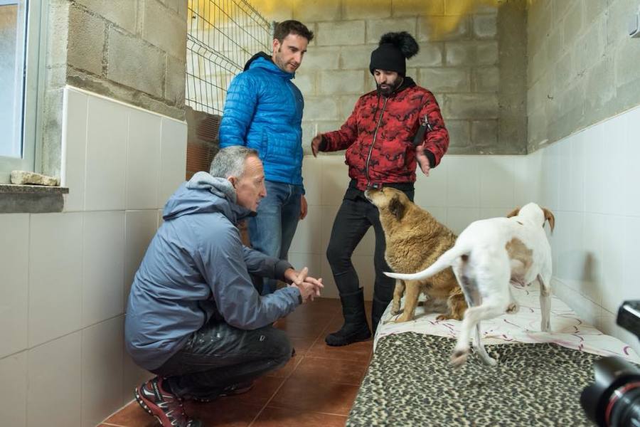 Dani Rovira visita la Protectora de León