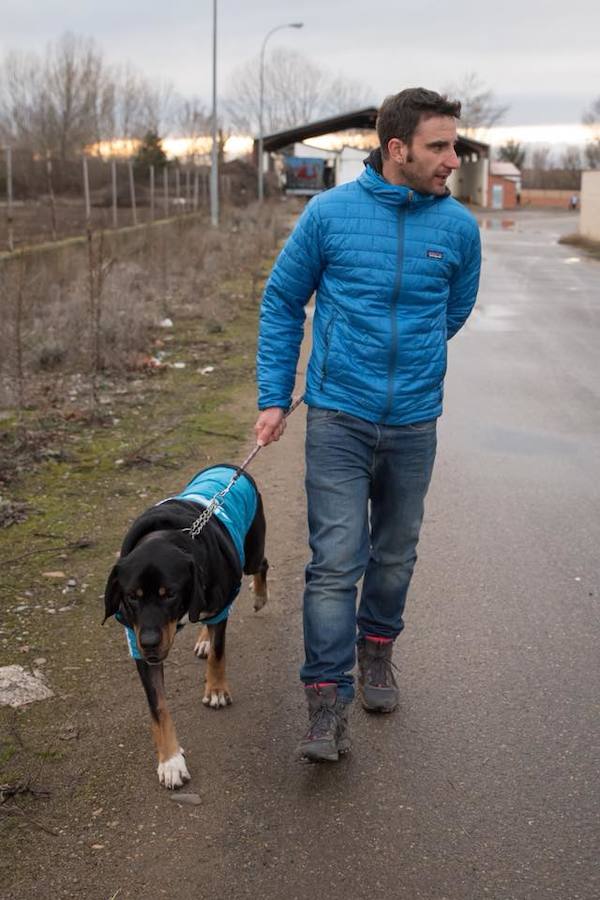 Dani Rovira visita la Protectora de León