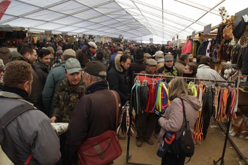 Ambiente en la carrera de galgos de este sábado en Madrigal de las Altas Torres, durante los cuartos de final del Campeonato Nacional