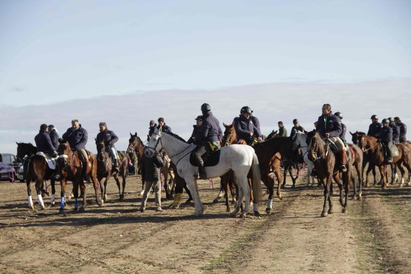 Ambiente en la carrera de galgos de este sábado en Madrigal de las Altas Torres, durante los cuartos de final del Campeonato Nacional