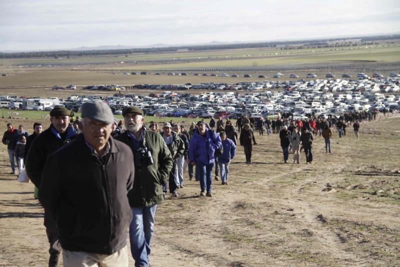 Ambiente en la carrera de galgos de este sábado en Madrigal de las Altas Torres, durante los cuartos de final del Campeonato Nacional