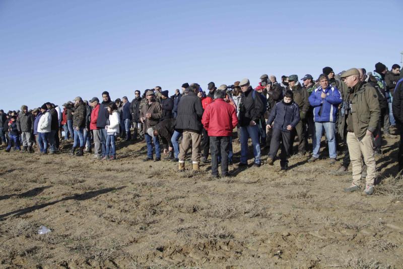 Ambiente en la carrera de galgos de este sábado en Madrigal de las Altas Torres, durante los cuartos de final del Campeonato Nacional