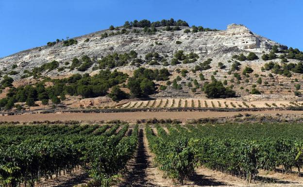 Ribera de Duero a su paso por la provincia de Valladolid.