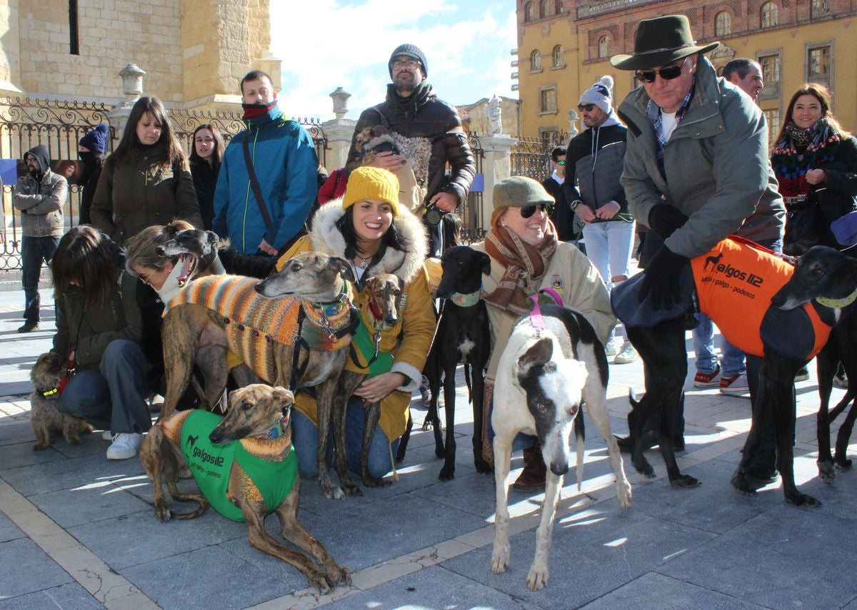 Protesta en rechazo a la cazería con perros