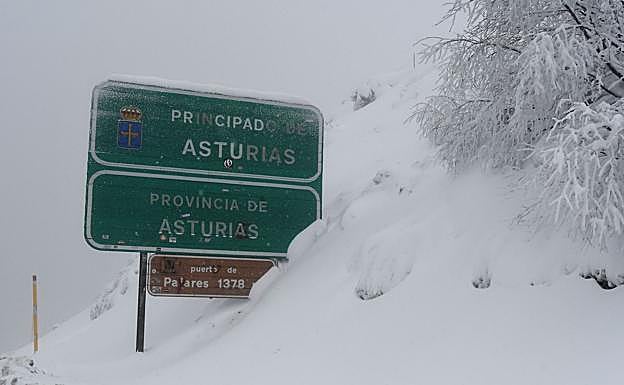 La nieve se ha asentado en la provincia de León.