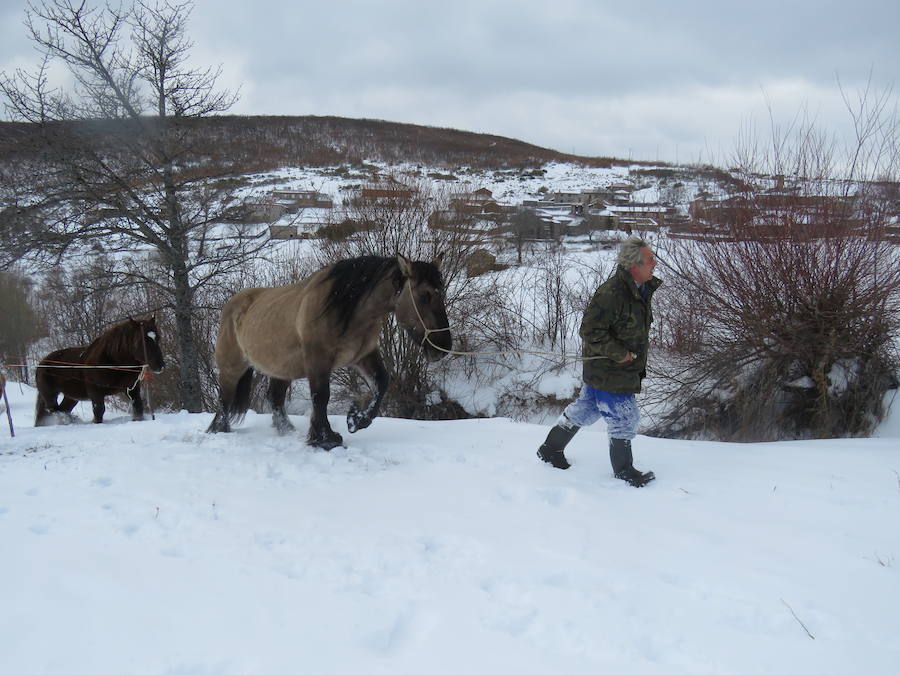 Rescate en la nieve