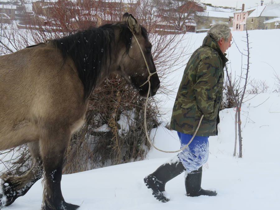 Rescate en la nieve