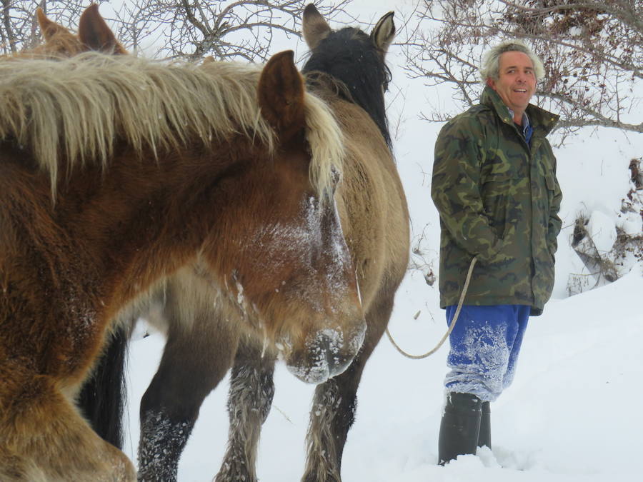 Rescate en la nieve