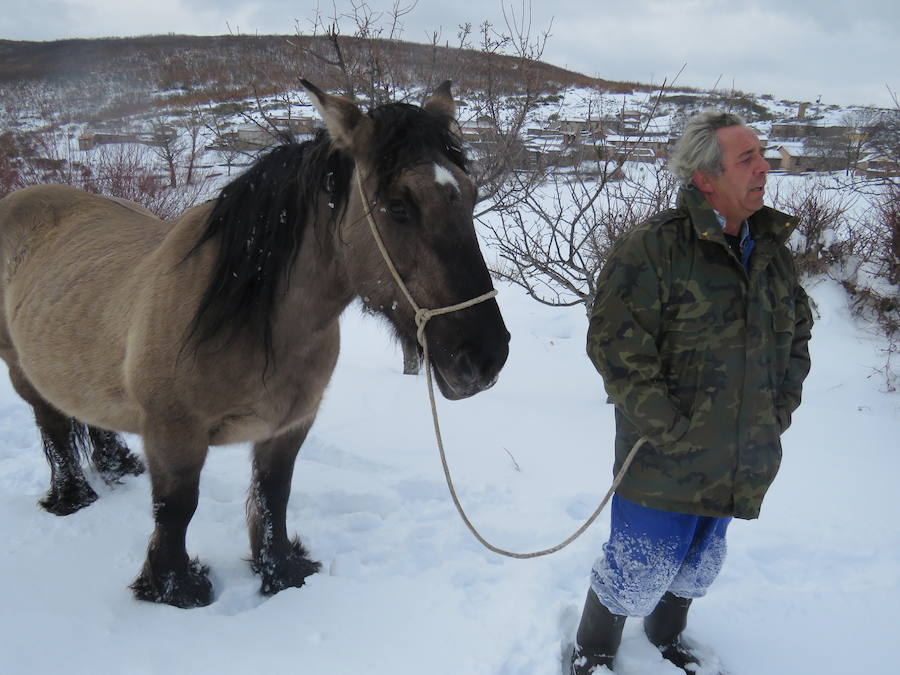 Rescate en la nieve