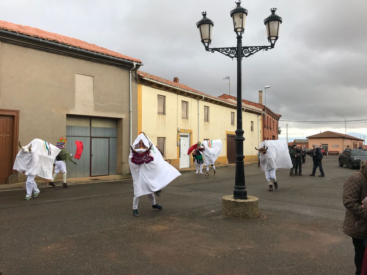 El toro de Alcoba no se olvida de Carnaval