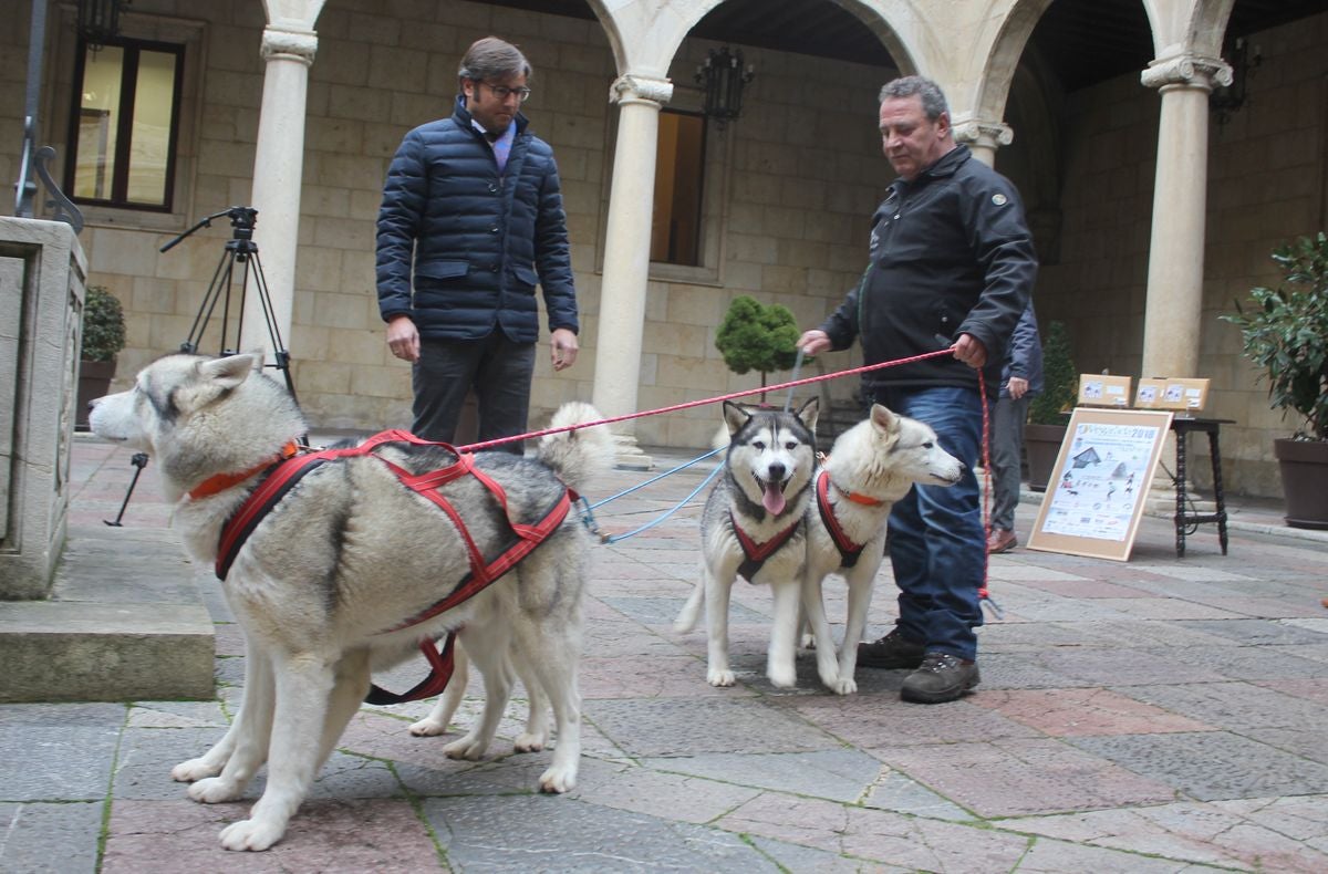 El mushing, a la conquista de Vegarada