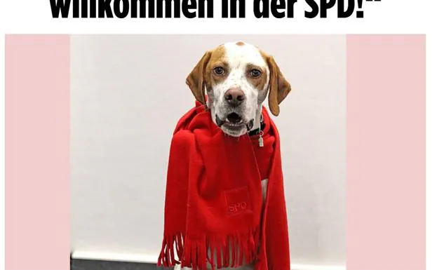 El diario 'Bild' logra inscribir una perra como militante del SPD