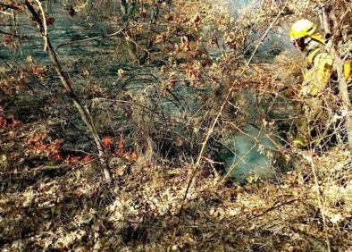 Imagen secundaria 1 - Robledo de las Traviesas sufre el primer incendio forestal de 2018 en la provincia de León