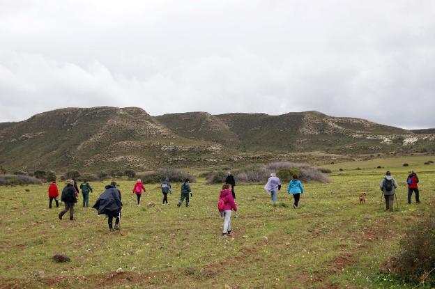 Voluntarios y efectivos recorren un paraje del parque natural en busca del pequeño Gabriel. 