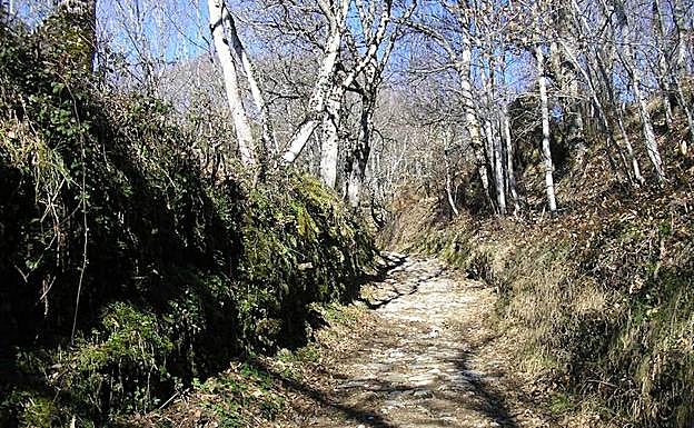 La tercera ruta de senderismo organizada por la ULE conducirá a Cebreiro