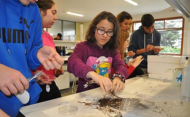 Agrícolas celebra su cincuentenario con diferentes talleres