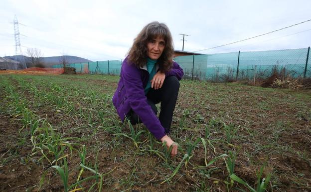 Encina Álvarez, finalista del concurso 'Desafío mujer rural', con su proyecto Bioencina. 