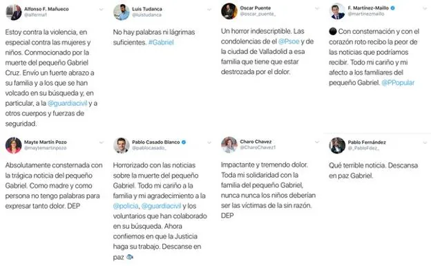 Los políticos de Castilla y León se suman al dolor por el hallazgo del cadáver de Gabriel Cruz