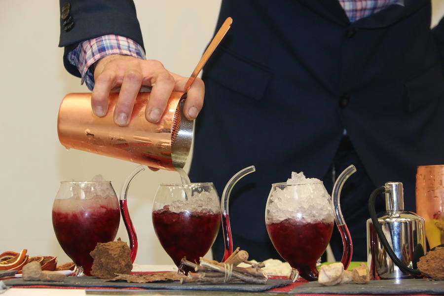 Fotos: Las mejores imágenes del I Concurso de Coctelería con Limonada