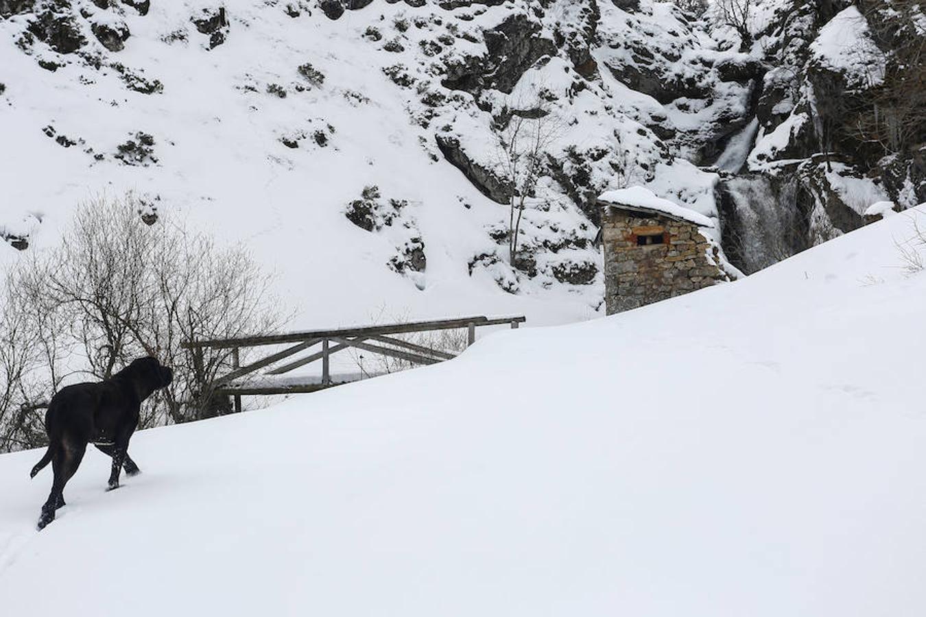 Fotos: Una vista sobre las cascadas de Castilla y León