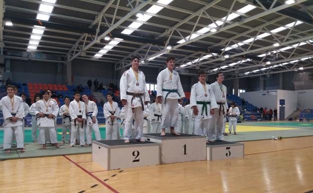 El judo leonés logra seis medallas en el ránking autonómico infantil